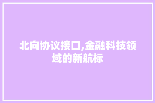 北向协议接口,金融科技领域的新航标