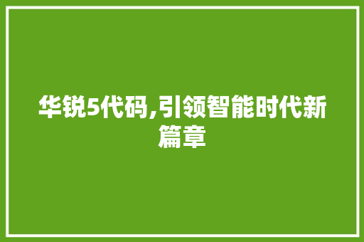 华锐5代码,引领智能时代新篇章