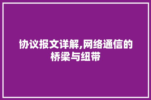 协议报文详解,网络通信的桥梁与纽带