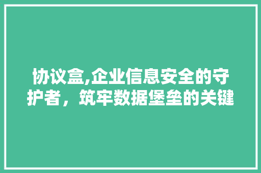协议盒,企业信息安全的守护者，筑牢数据堡垒的关键利器