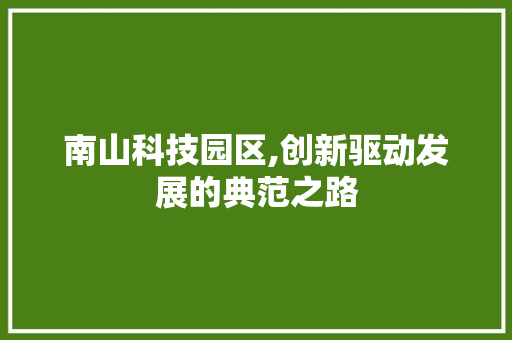 南山科技园区,创新驱动发展的典范之路