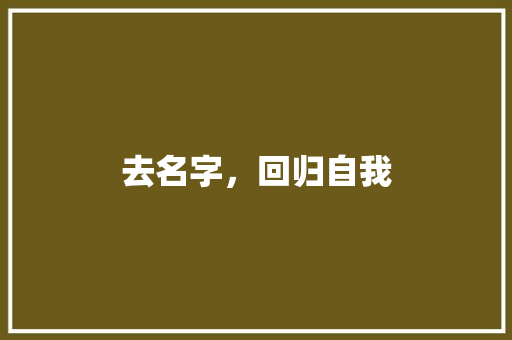 去名字，回归自我