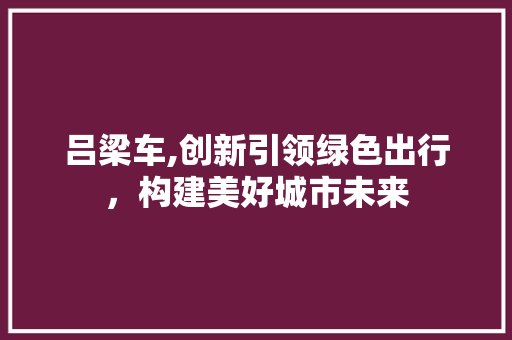 吕梁车,创新引领绿色出行，构建美好城市未来