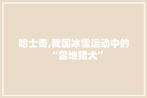哈士奇,我国冰雪运动中的“雪地猎犬”