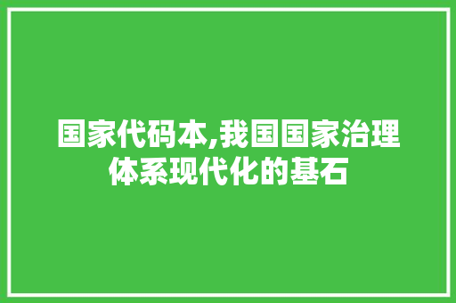 国家代码本,我国国家治理体系现代化的基石