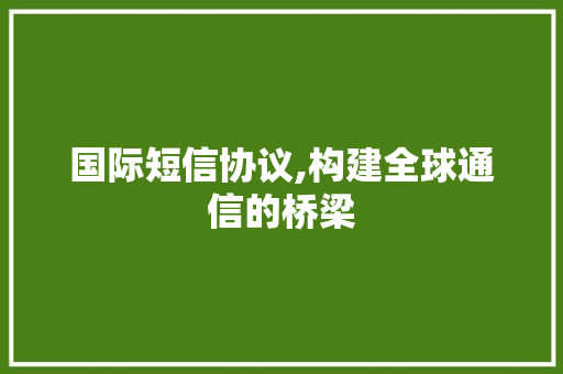 国际短信协议,构建全球通信的桥梁