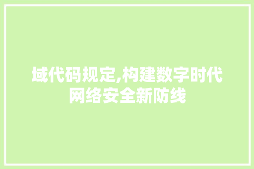 域代码规定,构建数字时代网络安全新防线
