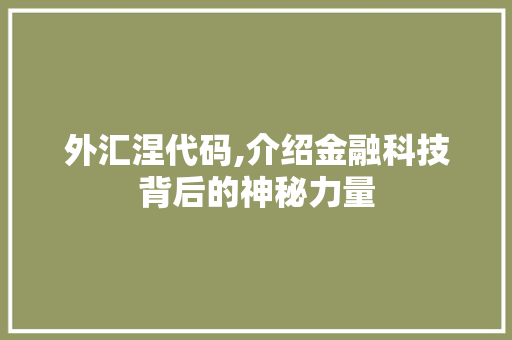 外汇涅代码,介绍金融科技背后的神秘力量