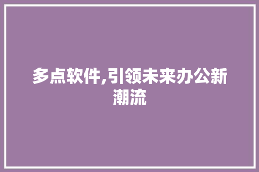 多点软件,引领未来办公新潮流