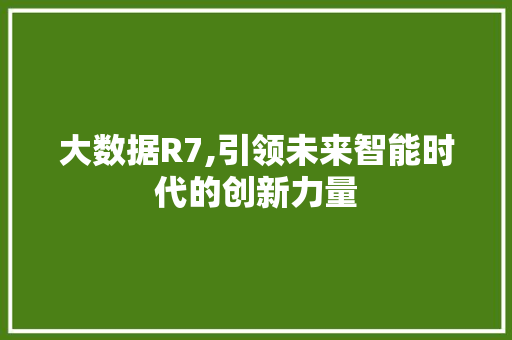 大数据R7,引领未来智能时代的创新力量