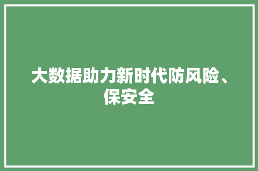 大数据助力新时代防风险、保安全