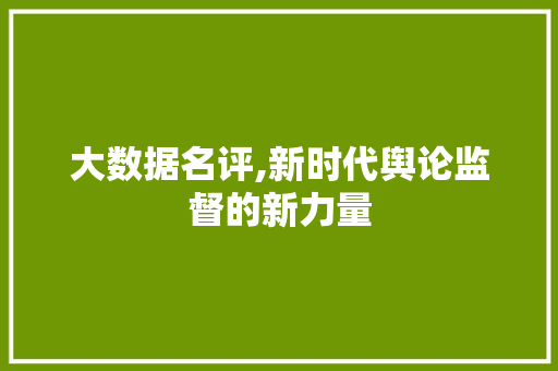 大数据名评,新时代舆论监督的新力量