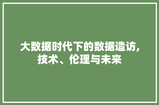 大数据时代下的数据造访,技术、伦理与未来