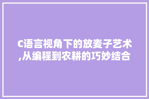 C语言视角下的放麦子艺术,从编程到农耕的巧妙结合