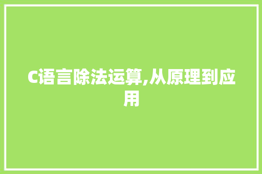 C语言除法运算,从原理到应用