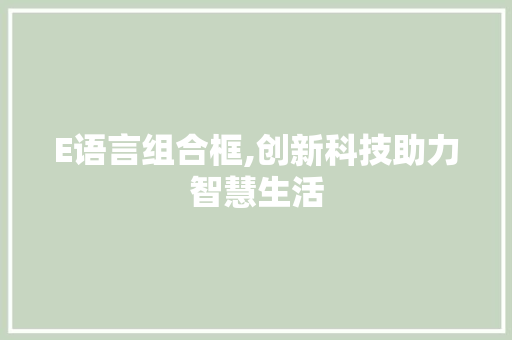 E语言组合框,创新科技助力智慧生活