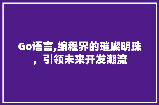 Go语言,编程界的璀璨明珠，引领未来开发潮流