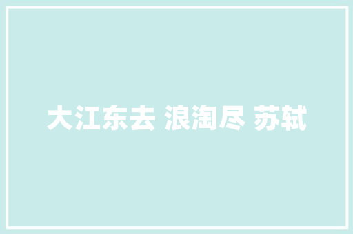 Go语言的图标,简洁之美，程序之魂