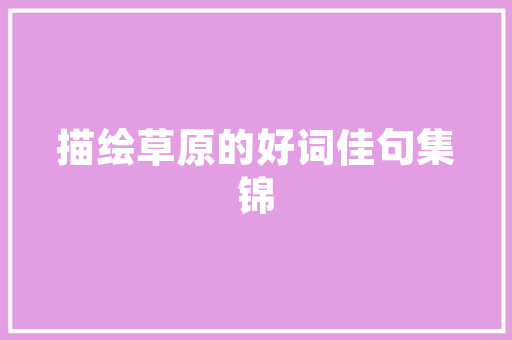 Go语言的魅力与未来,探索高效编程的黄金时代