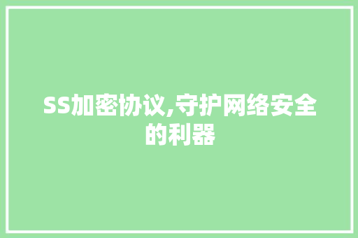 SS加密协议,守护网络安全的利器