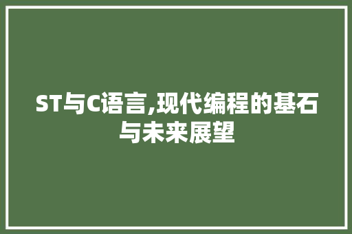 ST与C语言,现代编程的基石与未来展望