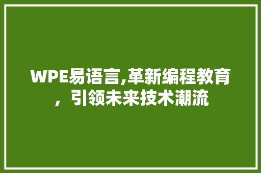 WPE易语言,革新编程教育，引领未来技术潮流