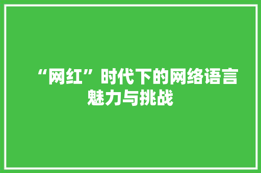 “网红”时代下的网络语言魅力与挑战