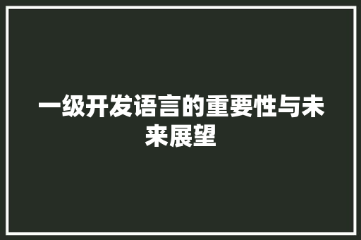 一级开发语言的重要性与未来展望
