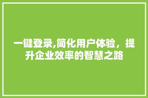 一键登录,简化用户体验，提升企业效率的智慧之路