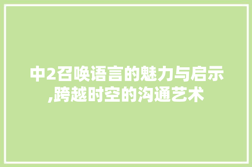 中2召唤语言的魅力与启示,跨越时空的沟通艺术