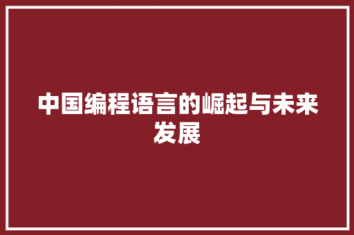 中国编程语言的崛起与未来发展