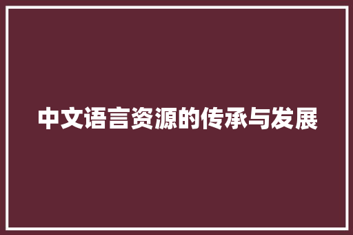 中文语言资源的传承与发展