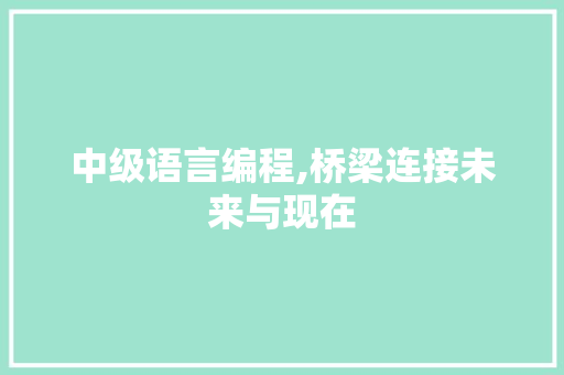 中级语言编程,桥梁连接未来与现在