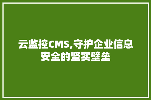 云监控CMS,守护企业信息安全的坚实壁垒
