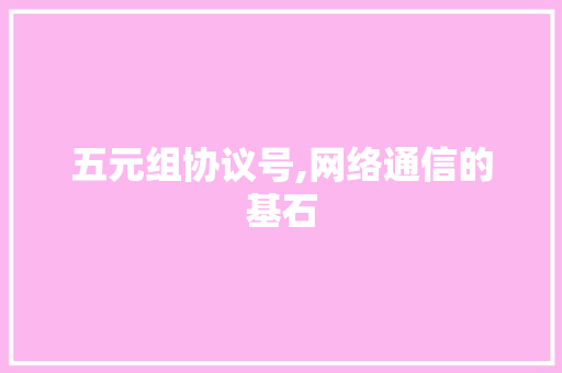 五元组协议号,网络通信的基石