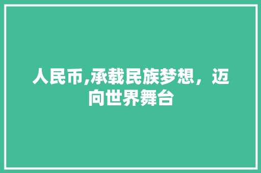 人民币,承载民族梦想，迈向世界舞台