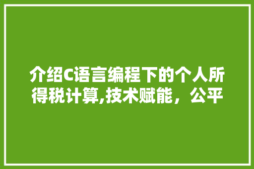 介绍C语言编程下的个人所得税计算,技术赋能，公平正义的守护者