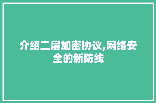 介绍二层加密协议,网络安全的新防线