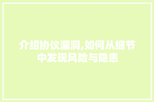 介绍协议漏洞,如何从细节中发现风险与隐患