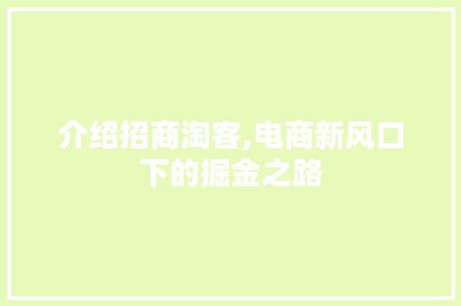 介绍招商淘客,电商新风口下的掘金之路