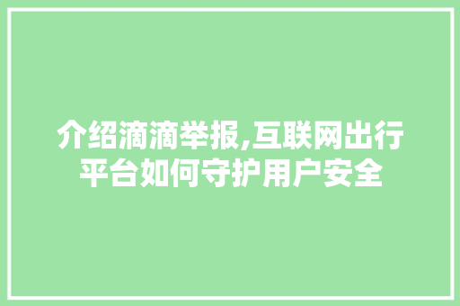 介绍滴滴举报,互联网出行平台如何守护用户安全