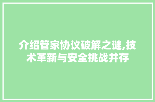 介绍管家协议破解之谜,技术革新与安全挑战并存