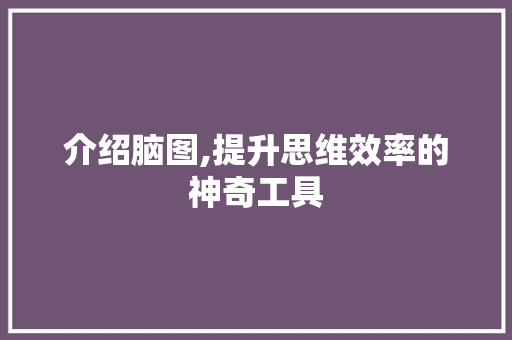 介绍脑图,提升思维效率的神奇工具