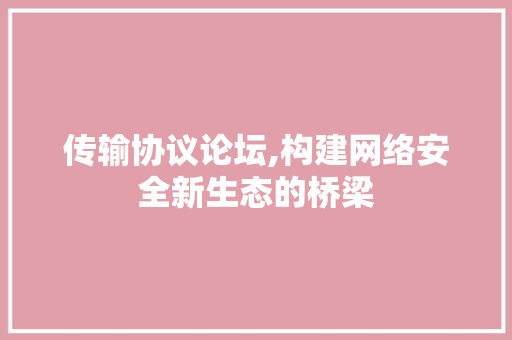 传输协议论坛,构建网络安全新生态的桥梁