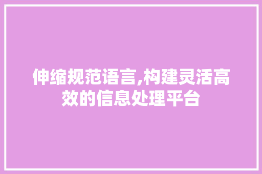 伸缩规范语言,构建灵活高效的信息处理平台