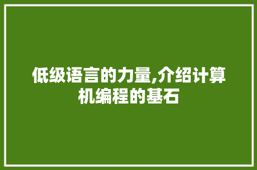 低级语言的力量,介绍计算机编程的基石