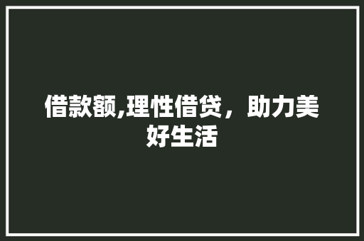 借款额,理性借贷，助力美好生活