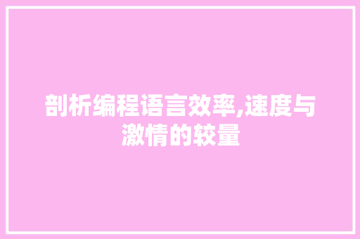 剖析编程语言效率,速度与激情的较量