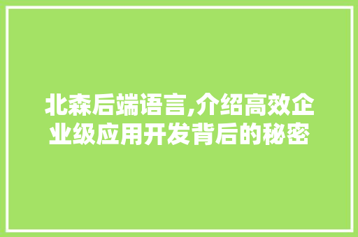 北森后端语言,介绍高效企业级应用开发背后的秘密