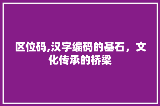 区位码,汉字编码的基石，文化传承的桥梁